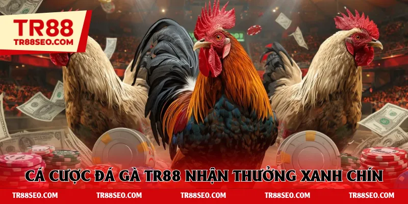 Cá cược đá gà TR88 nhận thưởng xanh chín