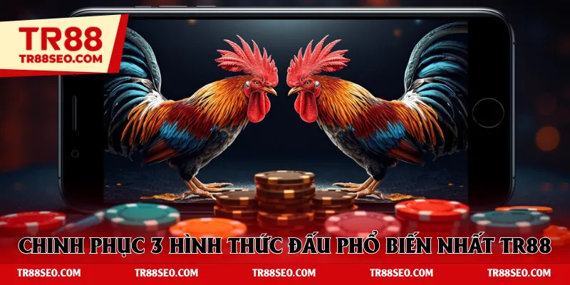 Chinh phục 3 hình thức thi đấu phổ biến nhất TR88