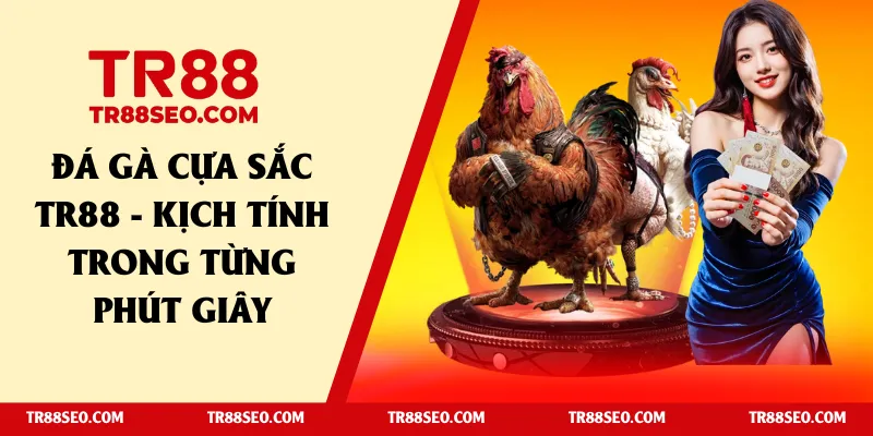 đá gà cựa sắt tr88