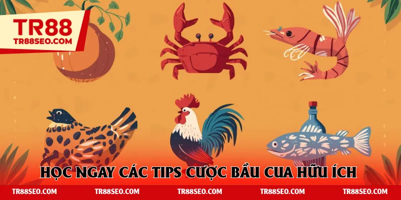 Học ngay các tips cược bầu cua hữu ích cho tân binh