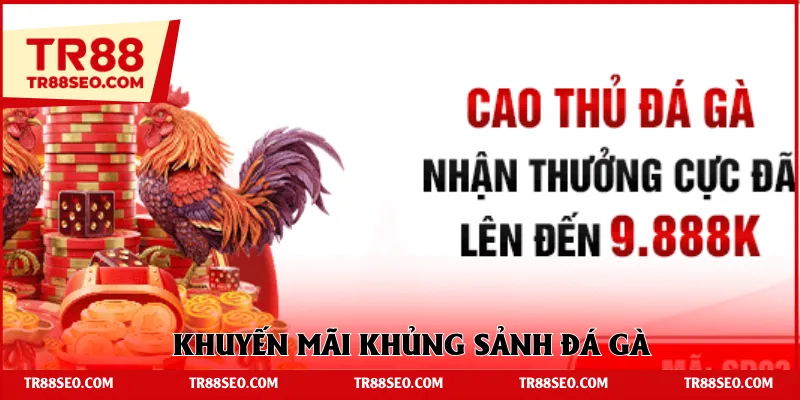 Khuyến mãi khủng sảnh đá gà