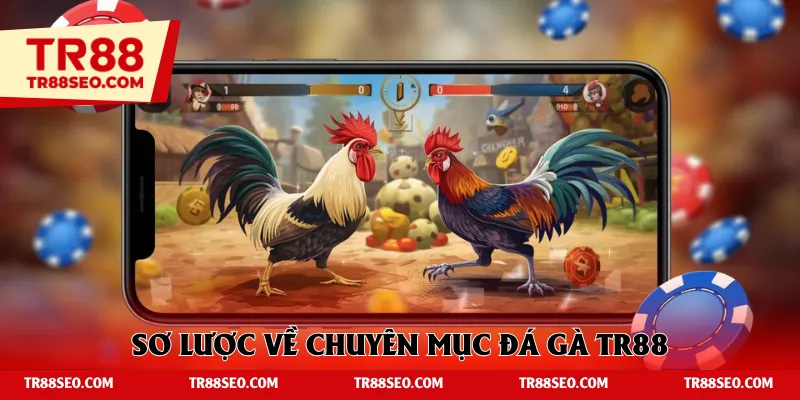 Sơ lược về chuyên mục đá gà TR88